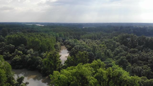 Baden/Ried - Hochwasser - 16.07.2021